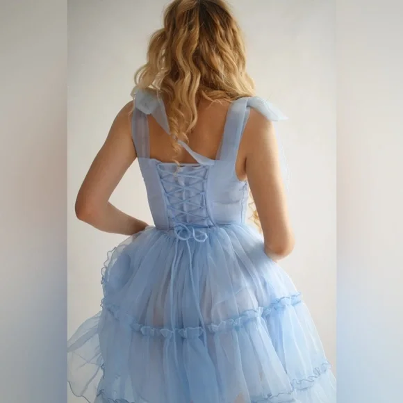 Wild Rose & Sparrow Siena Dress Blue Corset Tulle Mini L NWT Fairy - Picture 3 of 16
